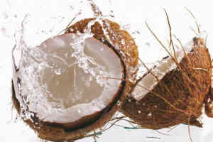 Kokosnußbanner